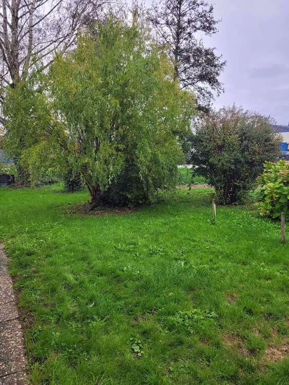 Thumbnail-Wohnung zum Kaufen in Bühl-Weitenung 265.000,00 € 96.12 m²