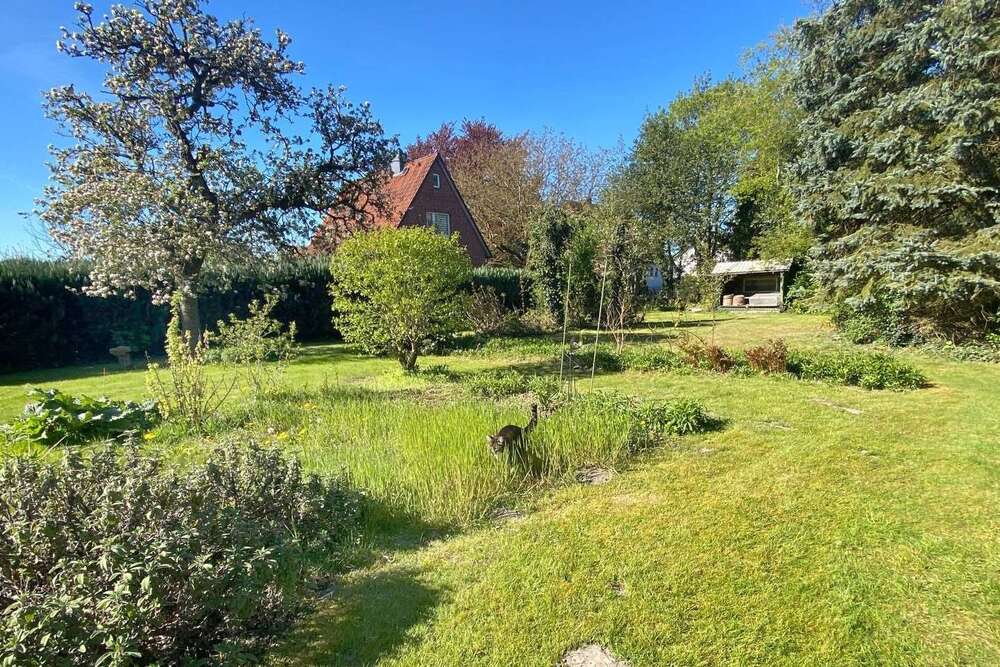 Thumbnail-Haus zum Kaufen in Toppenstedt 369.000,00 € 152 m²