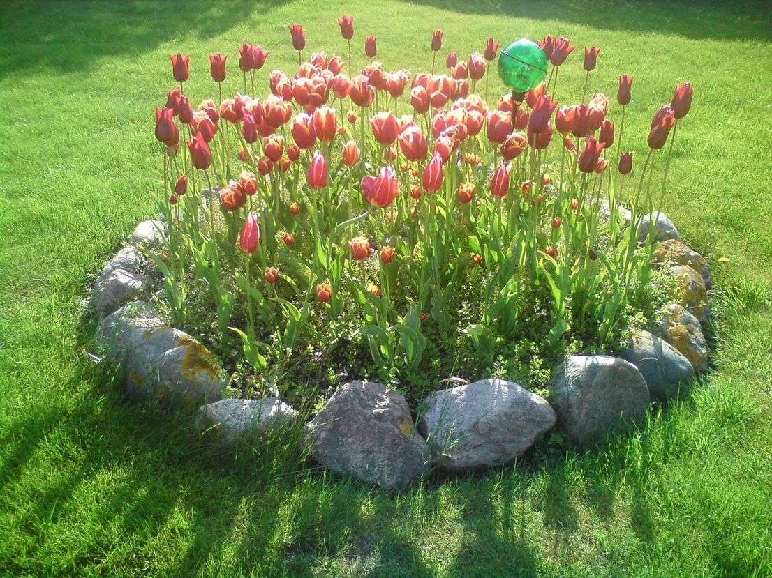 Thumbnail-Grundstück zu verkaufen in Niedernhausen 295.000,00 € 360 m²