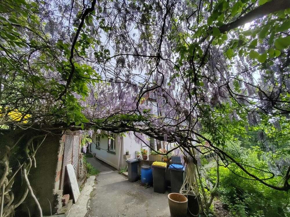 Thumbnail-Haus zum Kaufen in Solingen 319.000,00 € 137.07 m²