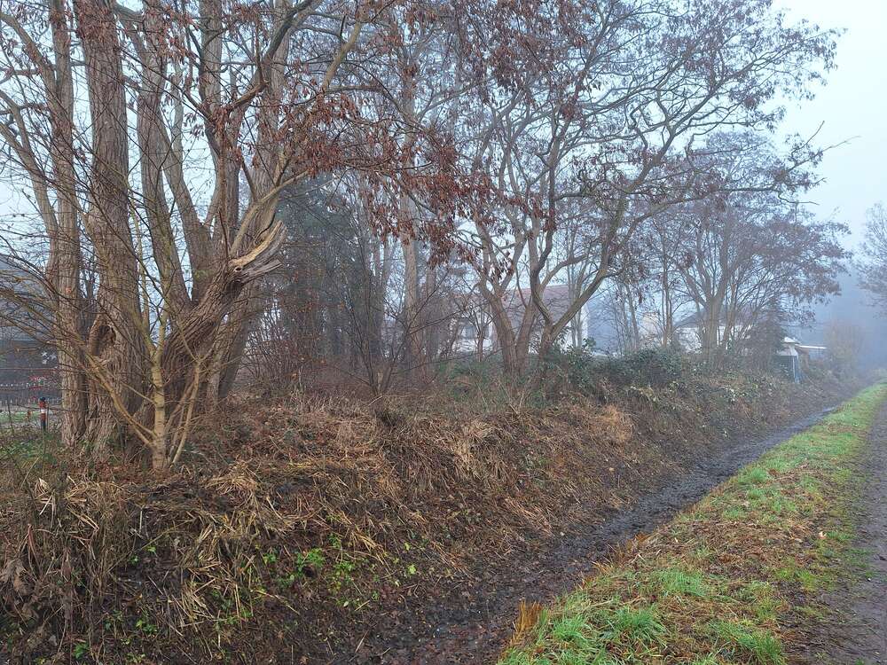 Thumbnail-Grundstück zu verkaufen in Bremen 229.000,00 € 579 m²