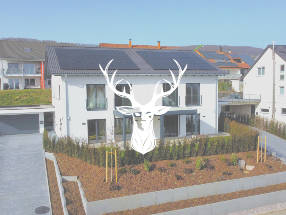 Thumbnail-Haus zum Kaufen in Waldshut Tiengen 849.000,00 € 151 m²