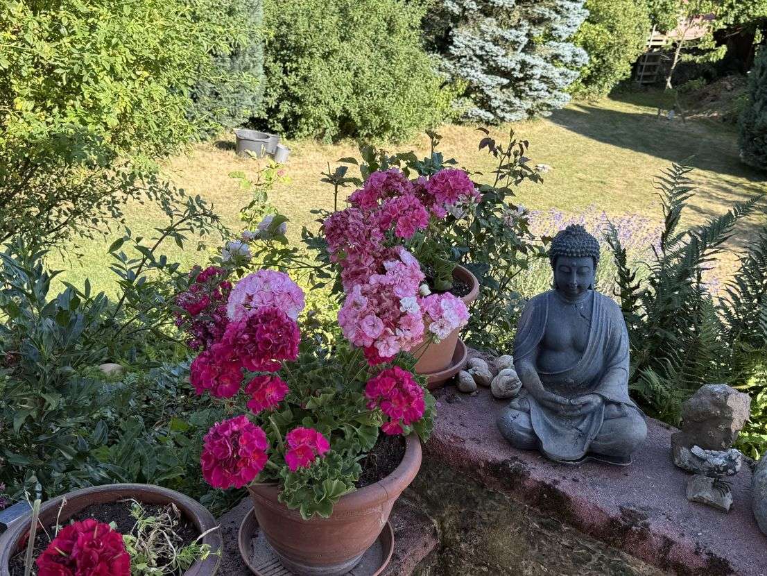 Thumbnail-Haus zum Kaufen in Niedernhausen-Engenhahn 789.000,00 € 189 m²