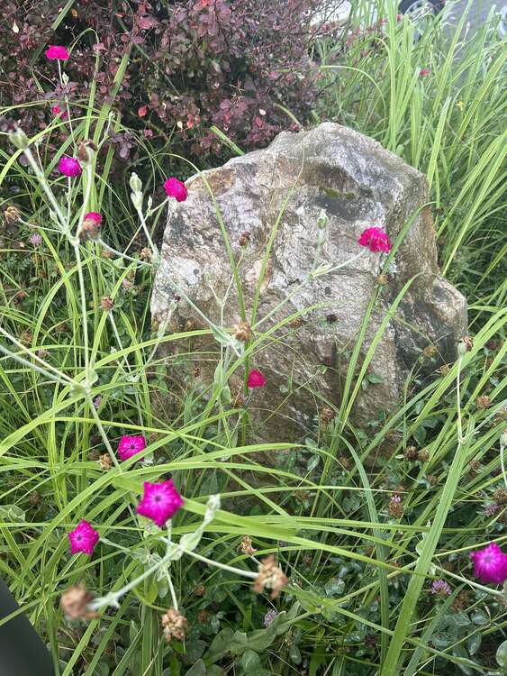 Thumbnail-Grundstück zu verkaufen in Niedernhausen 229.000,00 € 300 m²