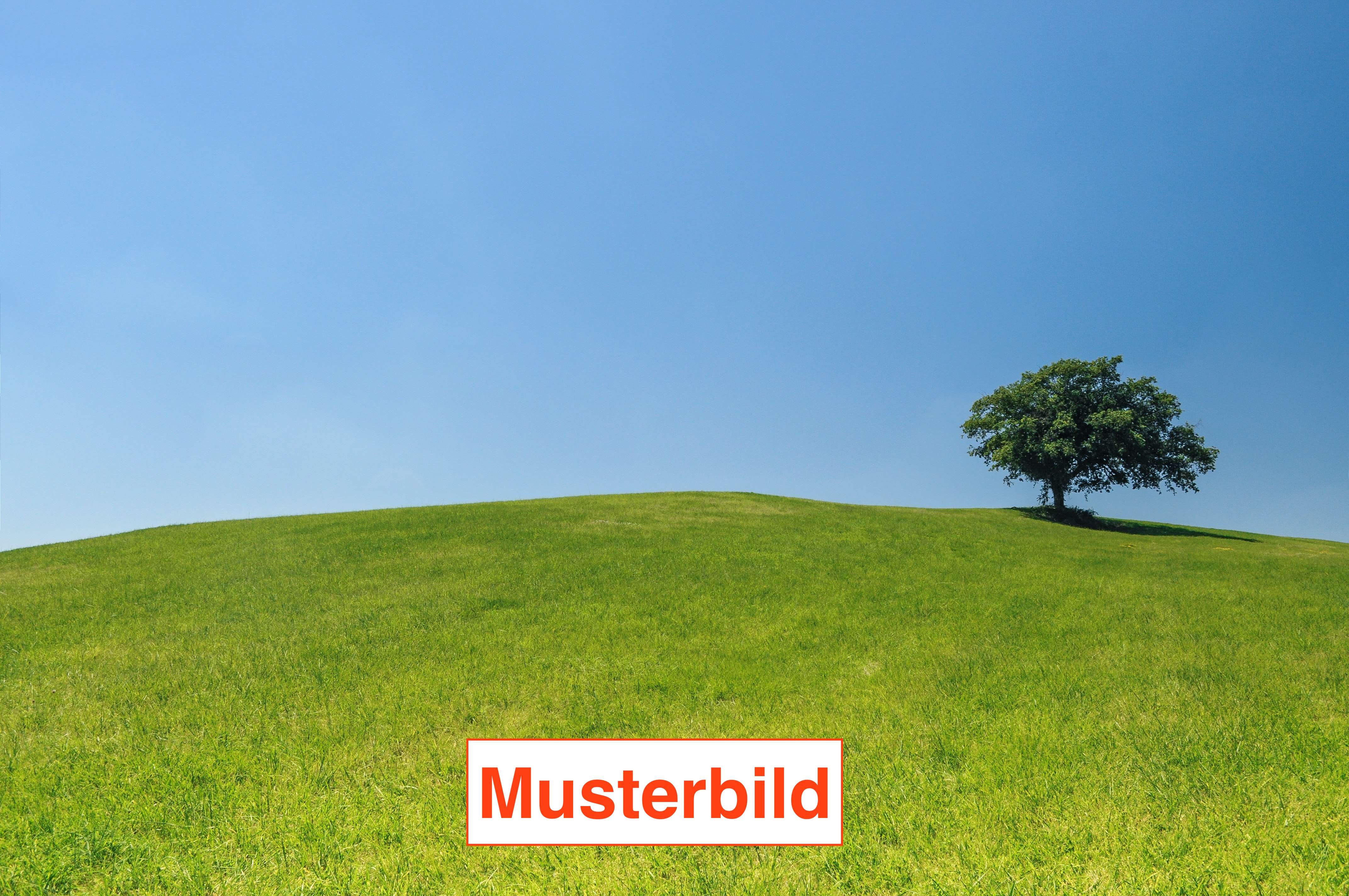 Thumbnail-Grundstück zu verkaufen in Gummersbach 510.000,00 € 723 m²