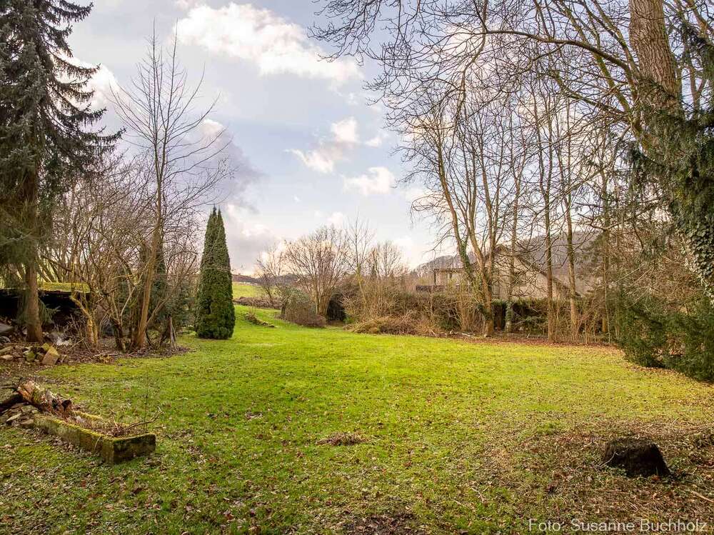 Thumbnail-Grundstück zu verkaufen in Kalletal 95.000,00 € 732 m²