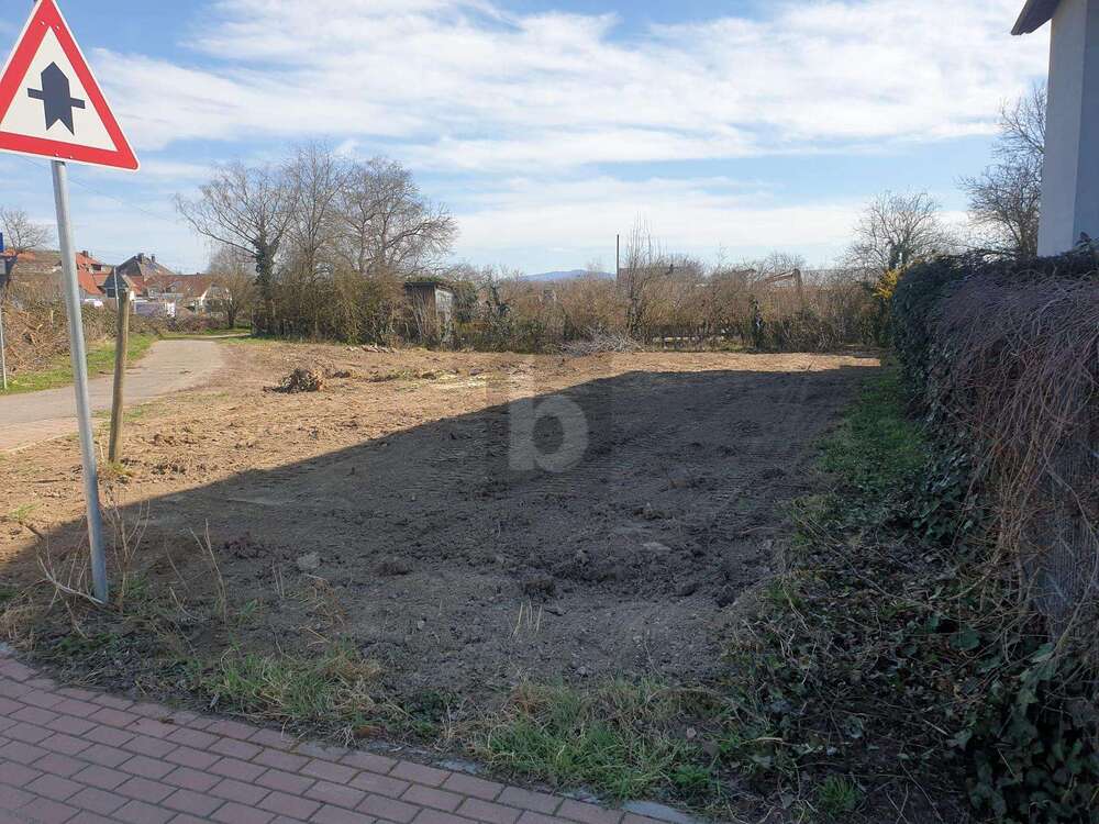 Thumbnail-Grundstück zu verkaufen in Ihringen 490.000,00 € 1004 m²