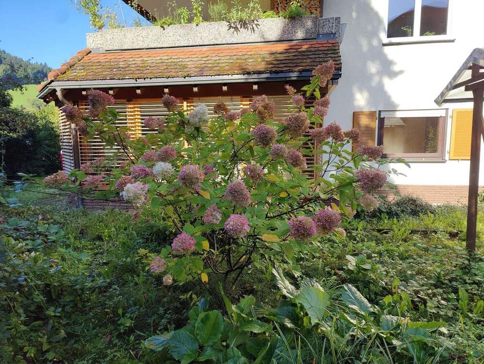 Thumbnail-Wohnung zum Kaufen in Waldkirch 549.000,00 € 152 m²