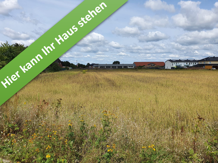 Thumbnail-Haus zum Kaufen in Meinersen 329.050,00 € 136 m²