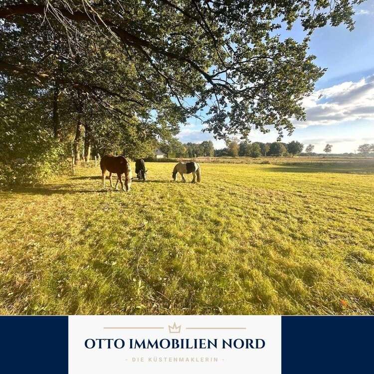 Thumbnail-Haus zum Kaufen in Beverstedt Frelsdorfermühlen 325.000,00 € 244 m²