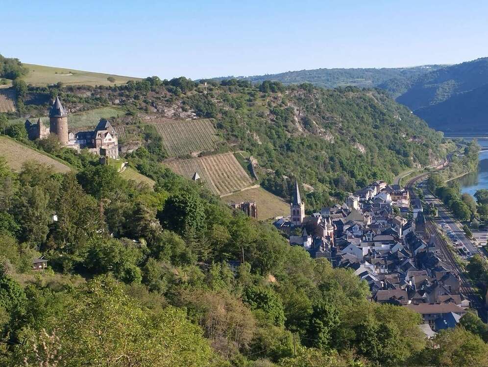 Thumbnail-Haus zum Kaufen in Bacharach 595.000,00 € 152 m²
