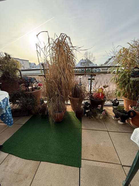 Thumbnail-Wohnung zum Kaufen in Solingen-Ohligs 169.000,00 € 59 m²