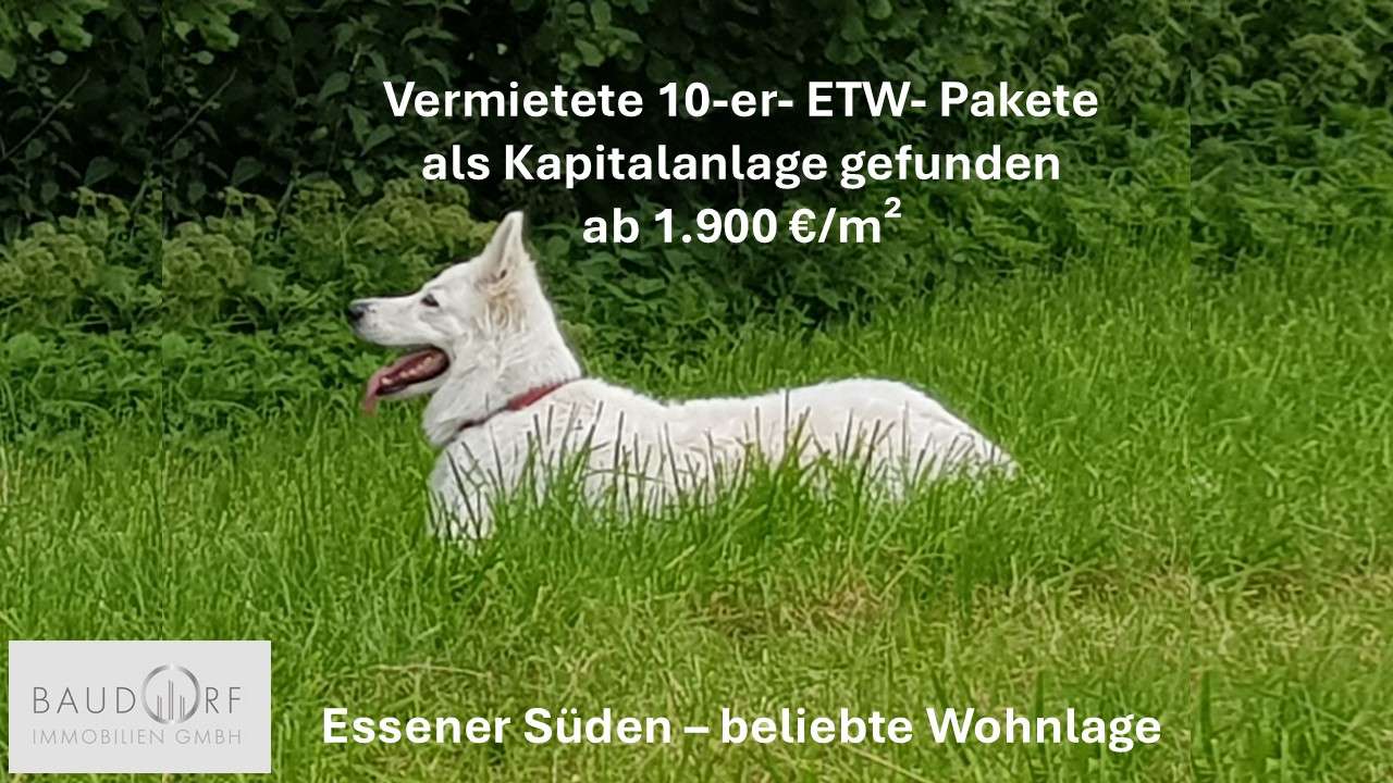 Thumbnail-Wohnung zum Kaufen in Essen 1.311.000,00 € 650 m²