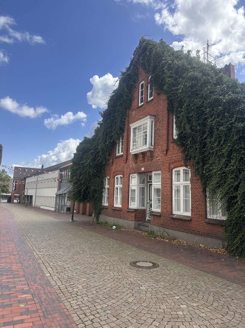 Thumbnail-Haus zum Kaufen in Kellinghusen 359.000,00 € 370 m²