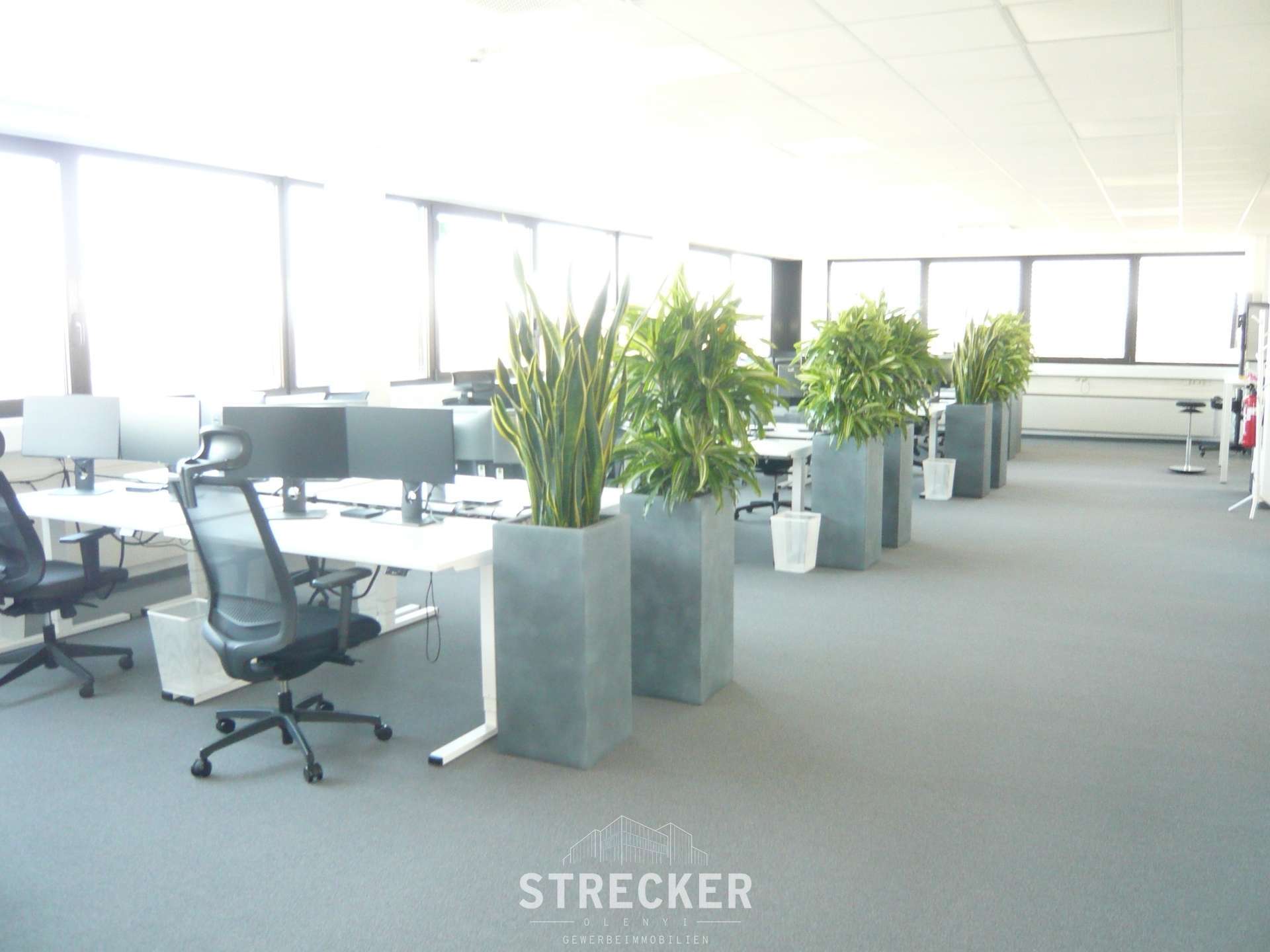 Thumbnail-Büro in Karlsruhe 5.208,80 € 766 m²
