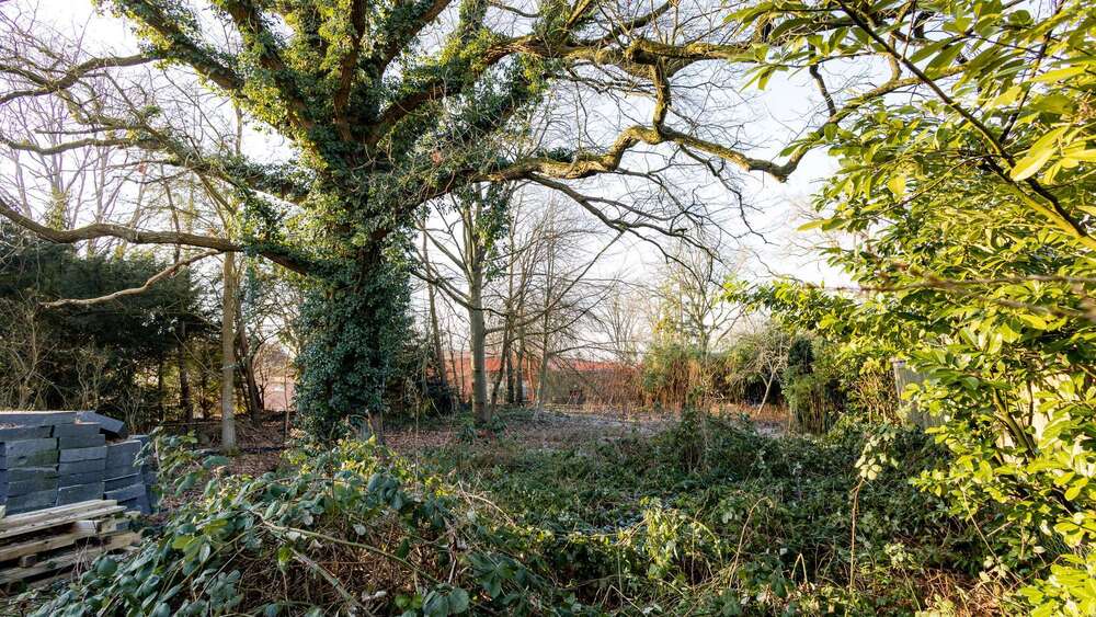 Thumbnail-Grundstück zu verkaufen in Hamburg 499.000,00 € 740 m²