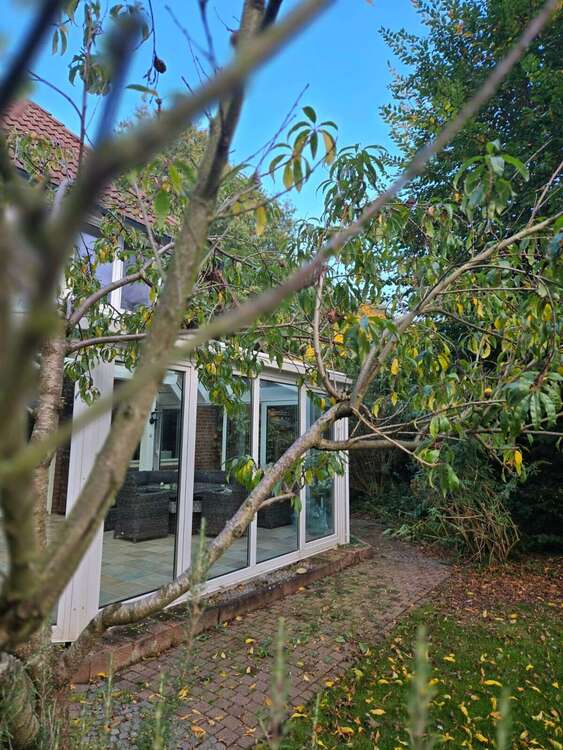 Thumbnail-Haus zum Kaufen in Diepholz 484.400,00 € 240 m²