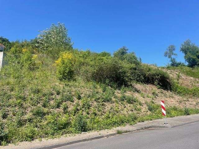 Thumbnail-Grundstück zu verkaufen in Bergisch Gladbach 590.000,00 € 2671 m²