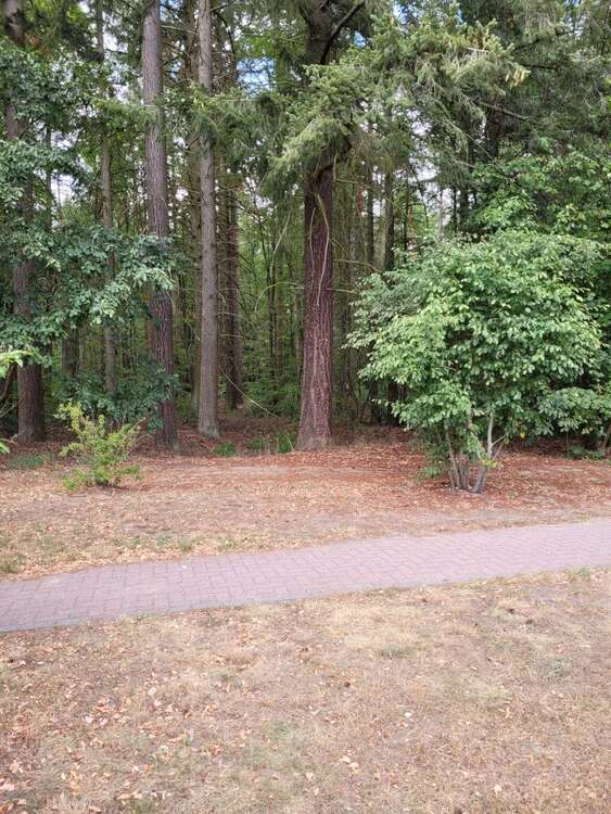 Thumbnail-Wohnung zum Kaufen in Grünheide 199.000,00 € 63 m²