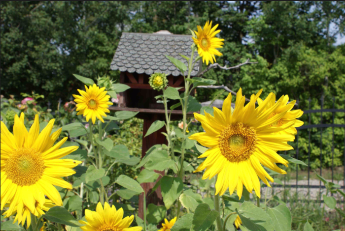 Thumbnail-Grundstück zu verkaufen in Heidesee 82.000,00 € 1347 m²