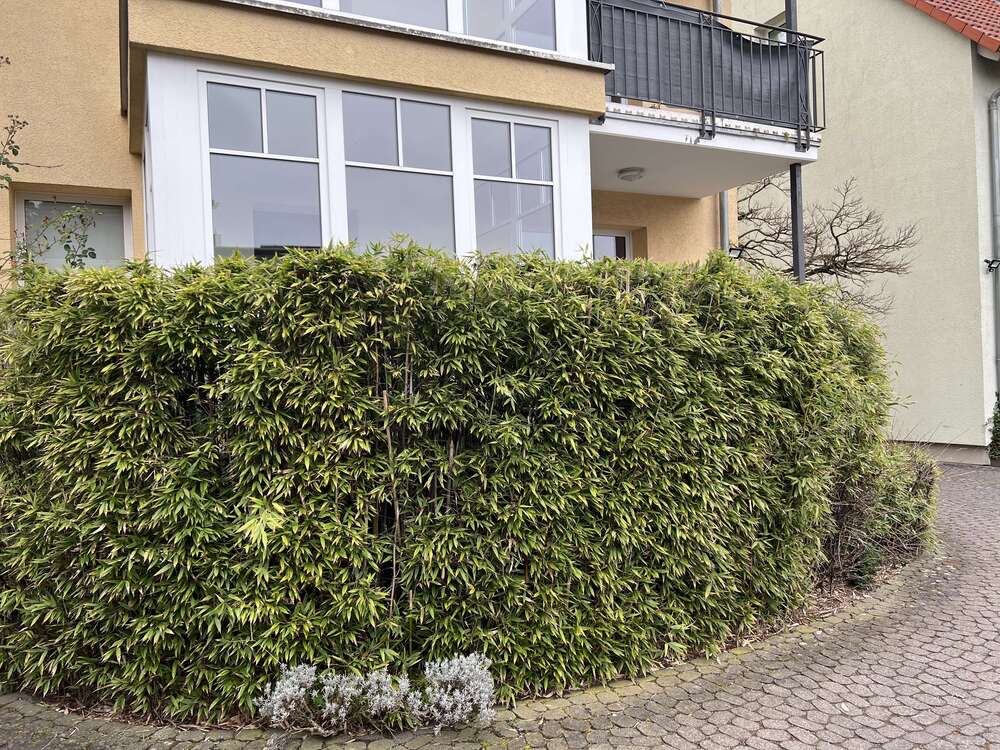 Thumbnail-Wohnung zum Mieten in Neu Isenburg 1.035,00 € 59 m²