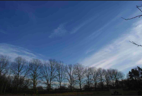 Thumbnail-Grundstück zu verkaufen in Heidesee 69.000,00 € 1127 m²