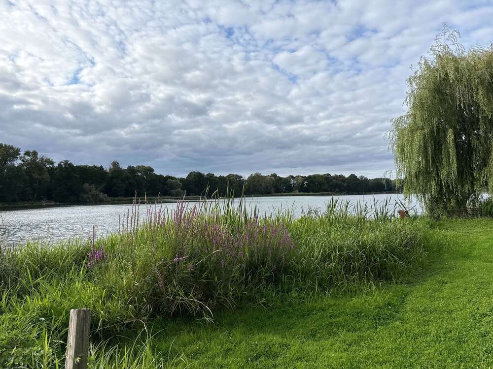 Thumbnail-Haus zum Kaufen in Lietzen 109.000,00 € 175 m²