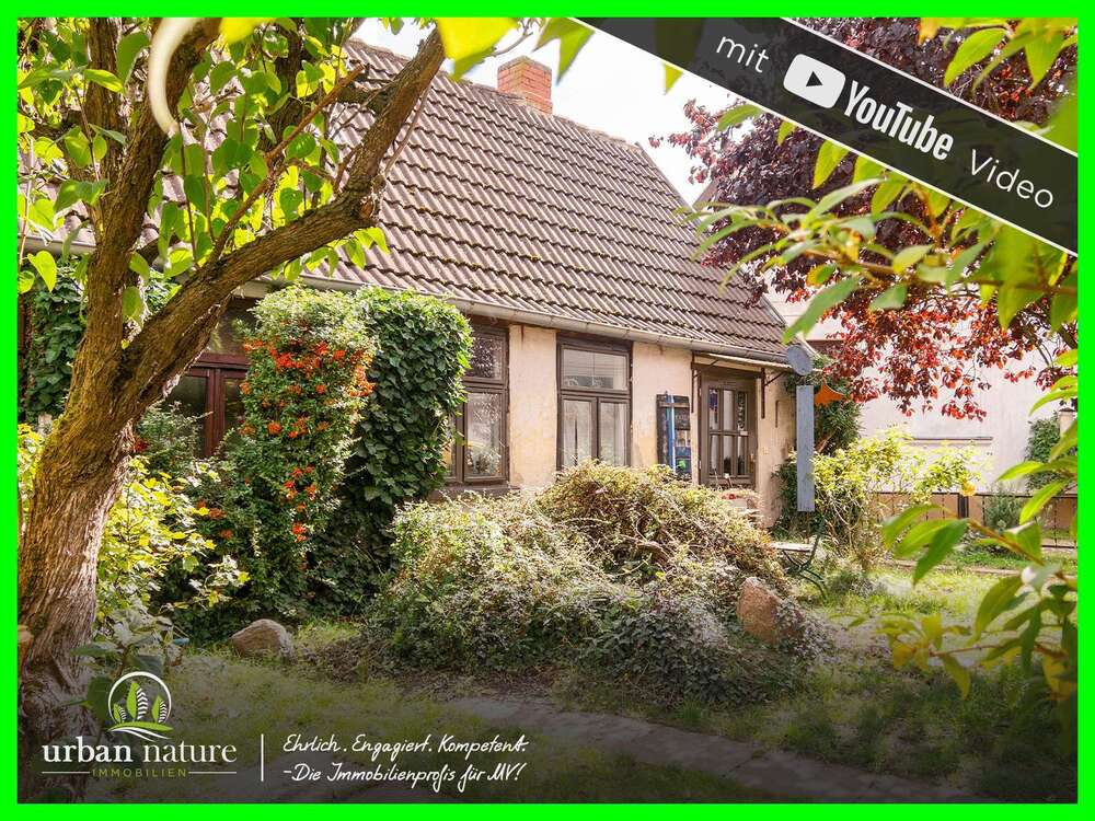 Thumbnail-Haus zum Kaufen in Bad Doberan 265.000,00 € 125 m²