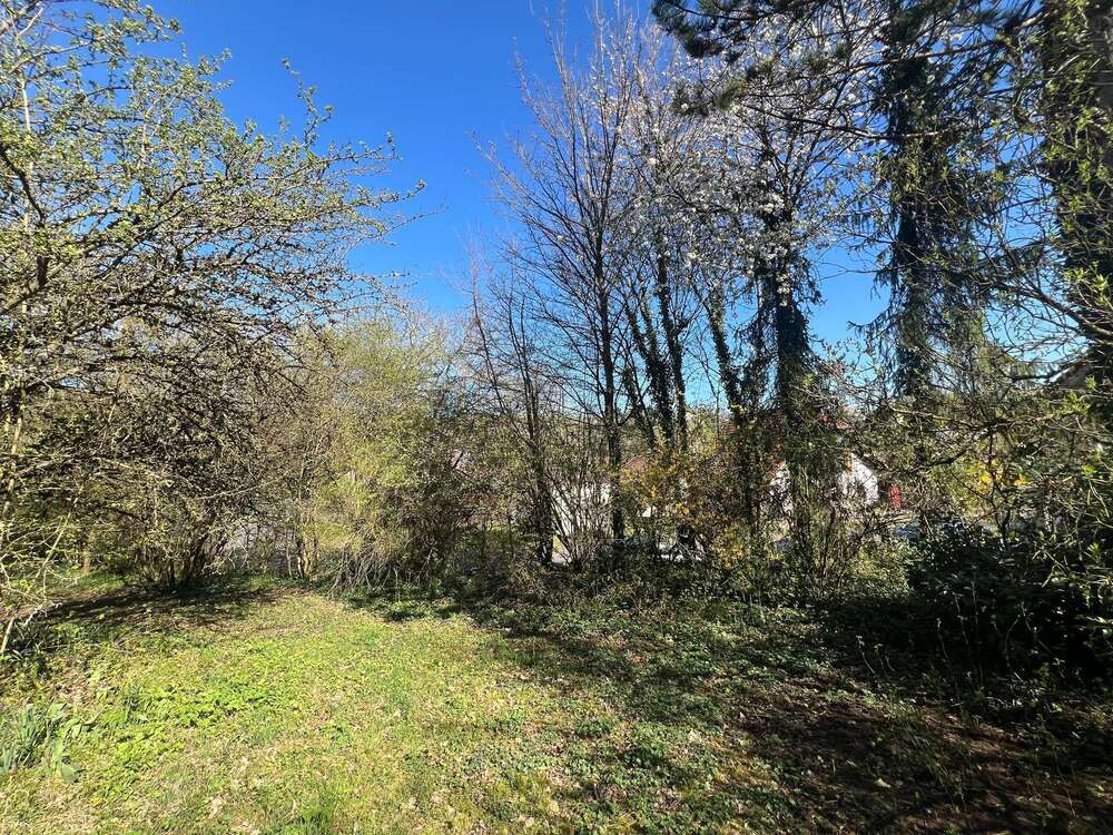 Thumbnail-Grundstück zu verkaufen in Nußbaum 119.000,00 € 1042 m²