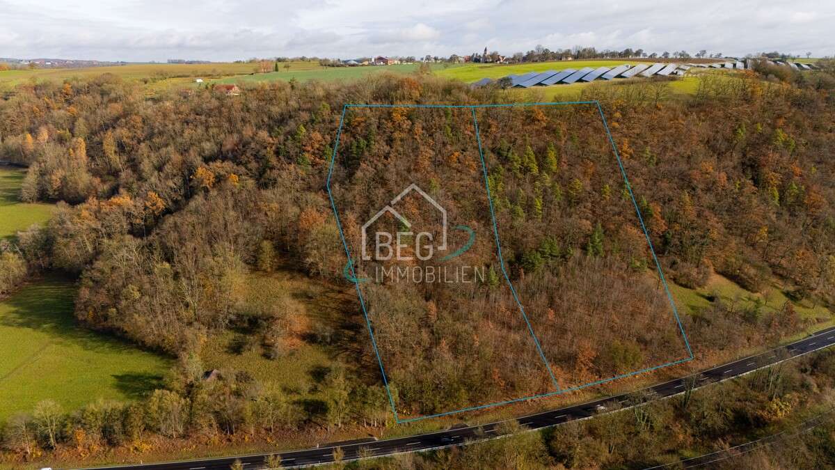 Thumbnail-Grundstück zu verkaufen in Schwäbisch HallTannenberg 11.800,00 € 9842 m²