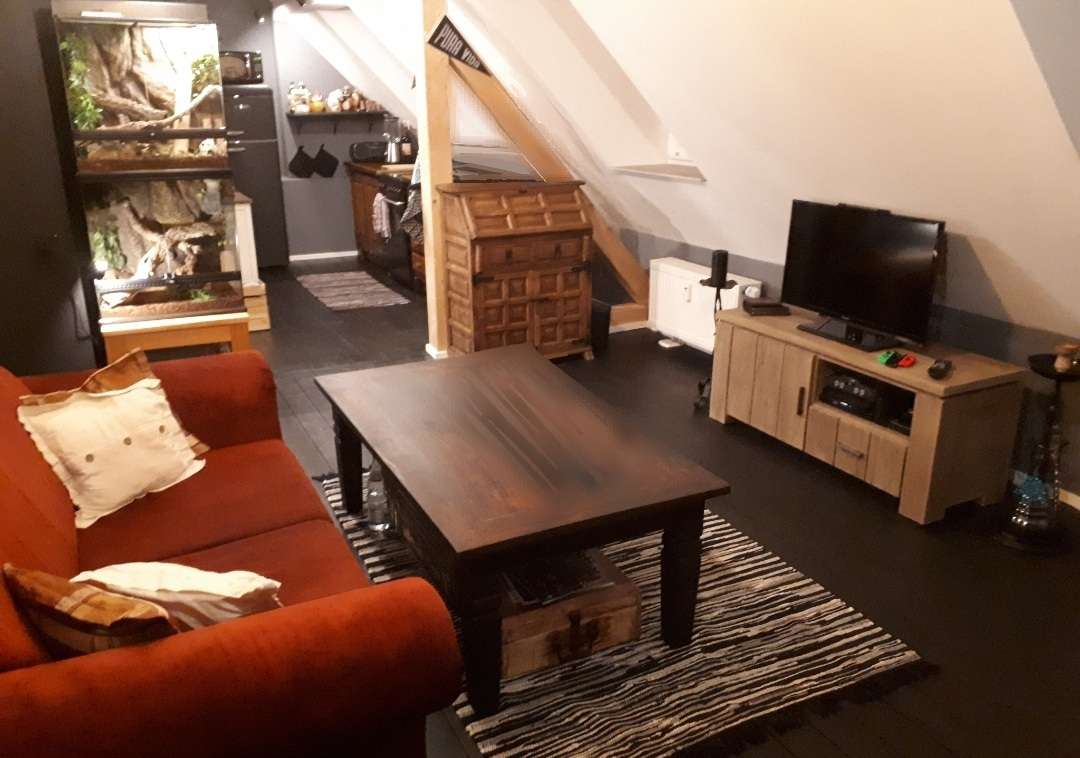 Thumbnail-Wohnung zum Mieten in Schwetzingen 520,00 € 43 m²