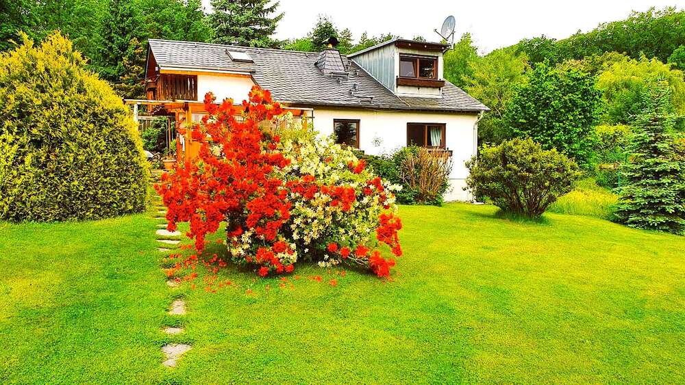 Thumbnail-Haus zum Kaufen in Zwickau 340.000,00 € 105 m²