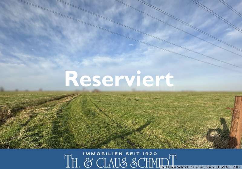Thumbnail-Grundstück in Elsfleth 569.000,00 € 177882 m²