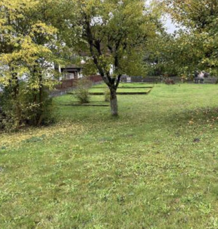 Thumbnail-Grundstück zu verkaufen in Mainhausen 290.000,00 € 300 m²