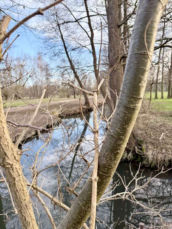 Thumbnail-Haus zum Kaufen in Burg 399.000,00 € 123 m²