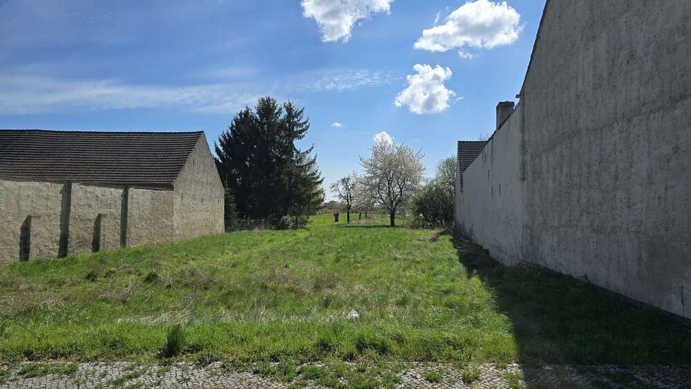 Thumbnail-Grundstück zu verkaufen in Brück 125.000,00 € 2169 m²