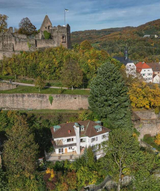 Thumbnail-Haus zum Kaufen in Lindenfels 589.000,00 € 267 m²