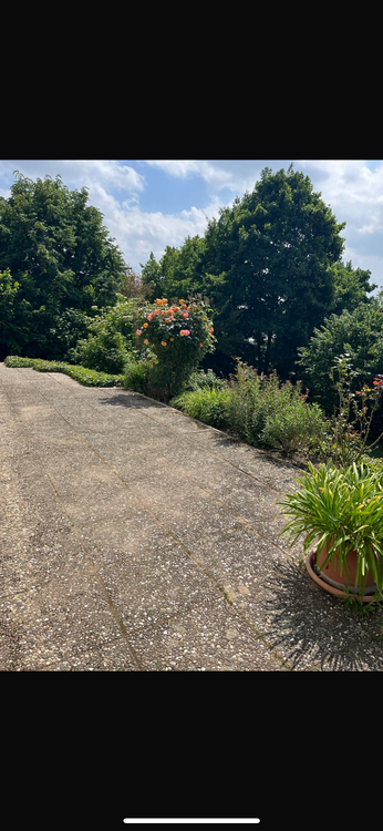 Thumbnail-Wohnung zum Mieten in Weinheim 925,00 € 75 m²