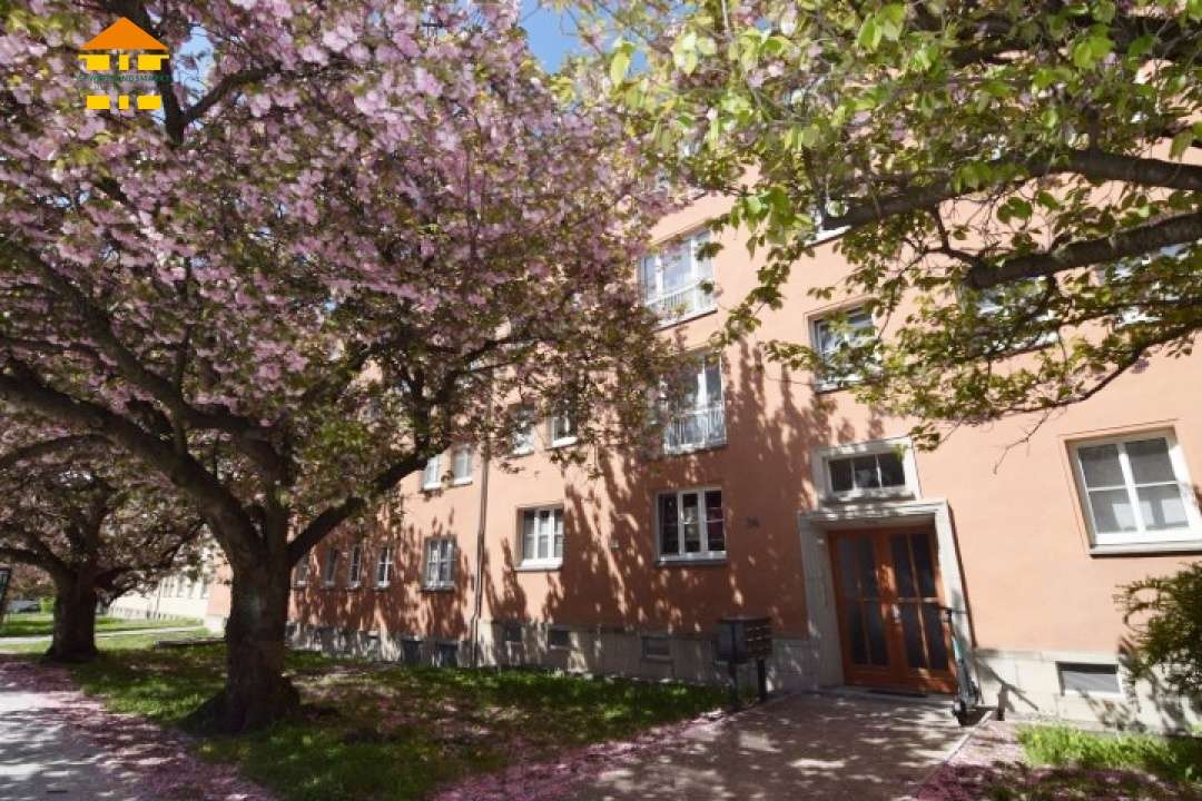 Thumbnail-Wohnung zum Kaufen in Chemnitz 69.500,00 € 67.16 m²