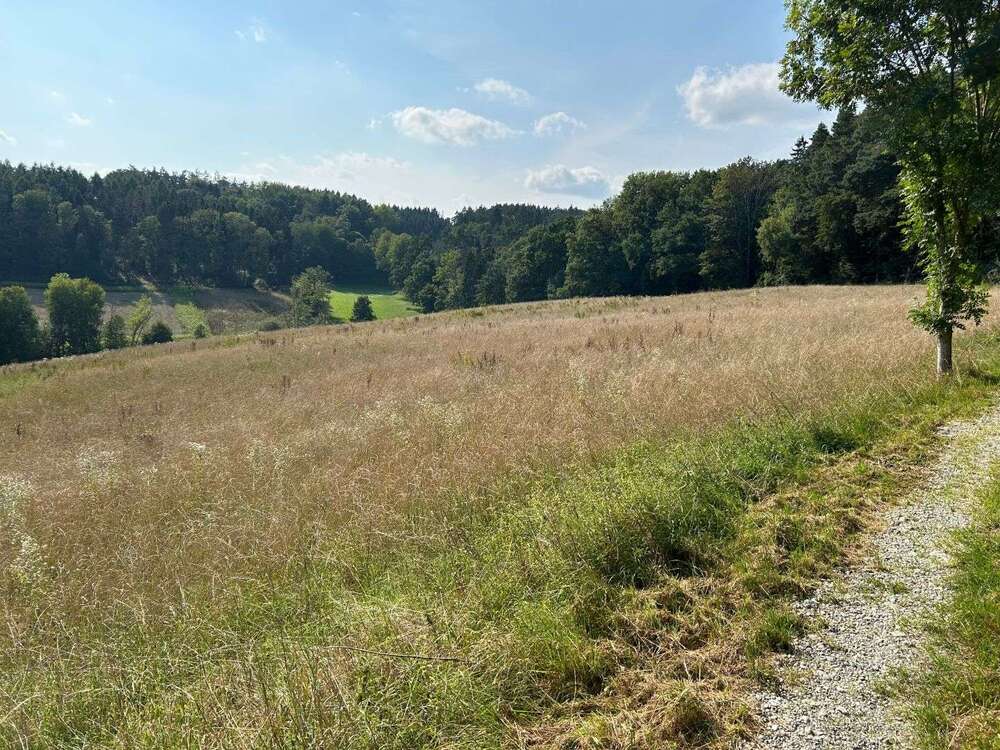 Thumbnail-Grundstück in Moosthenning 229.000,00 € 14750 m²