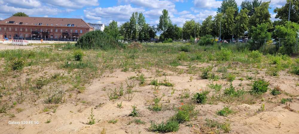 Thumbnail-Grundstück zu verkaufen in Bernau bei Berlin 1.236.400,00 € 3091 m²