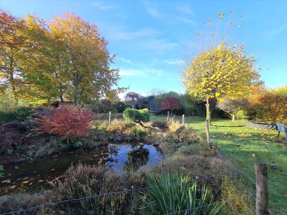 Thumbnail-Haus zum Kaufen in Lohbarbek 159.000,00 € 60 m²