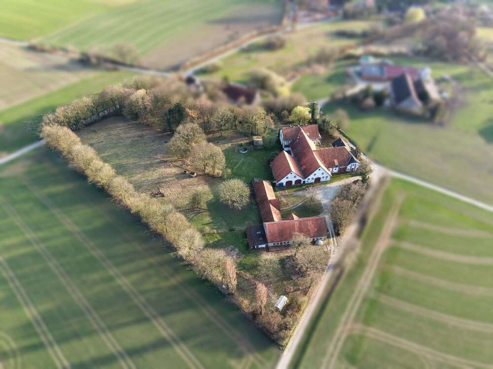 Thumbnail-Haus zum Kaufen in Borgholzhausen 1.215.000,00 € 860.67 m²