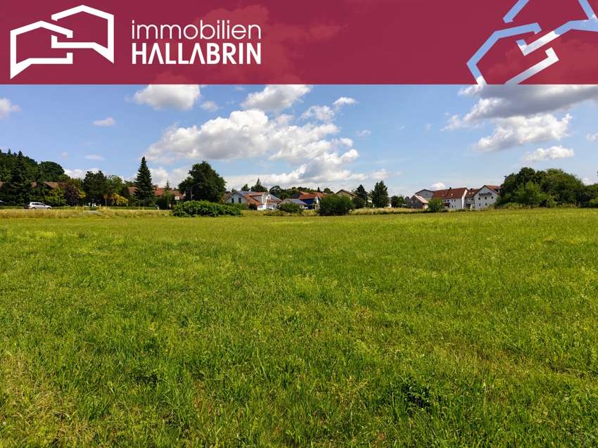 Thumbnail-Grundstück zu verkaufen in Ortenburg Söldenau 295.000,00 € 2390 m²