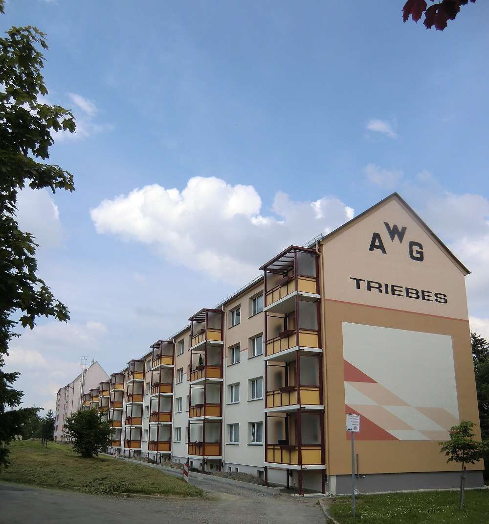 Thumbnail-Wohnung zum Mieten in Zeulenroda-Triebes 490,00 € 57.7 m²