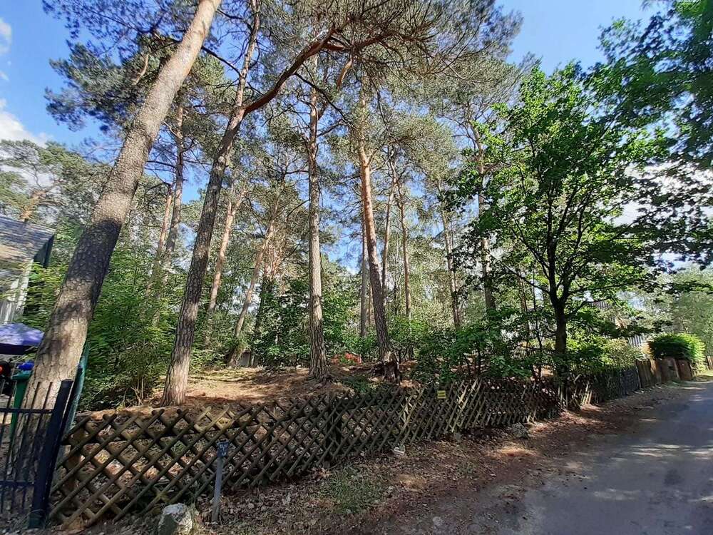 Thumbnail-Grundstück zu verkaufen in Blankenfelde 373.000,00 € 1027 m²