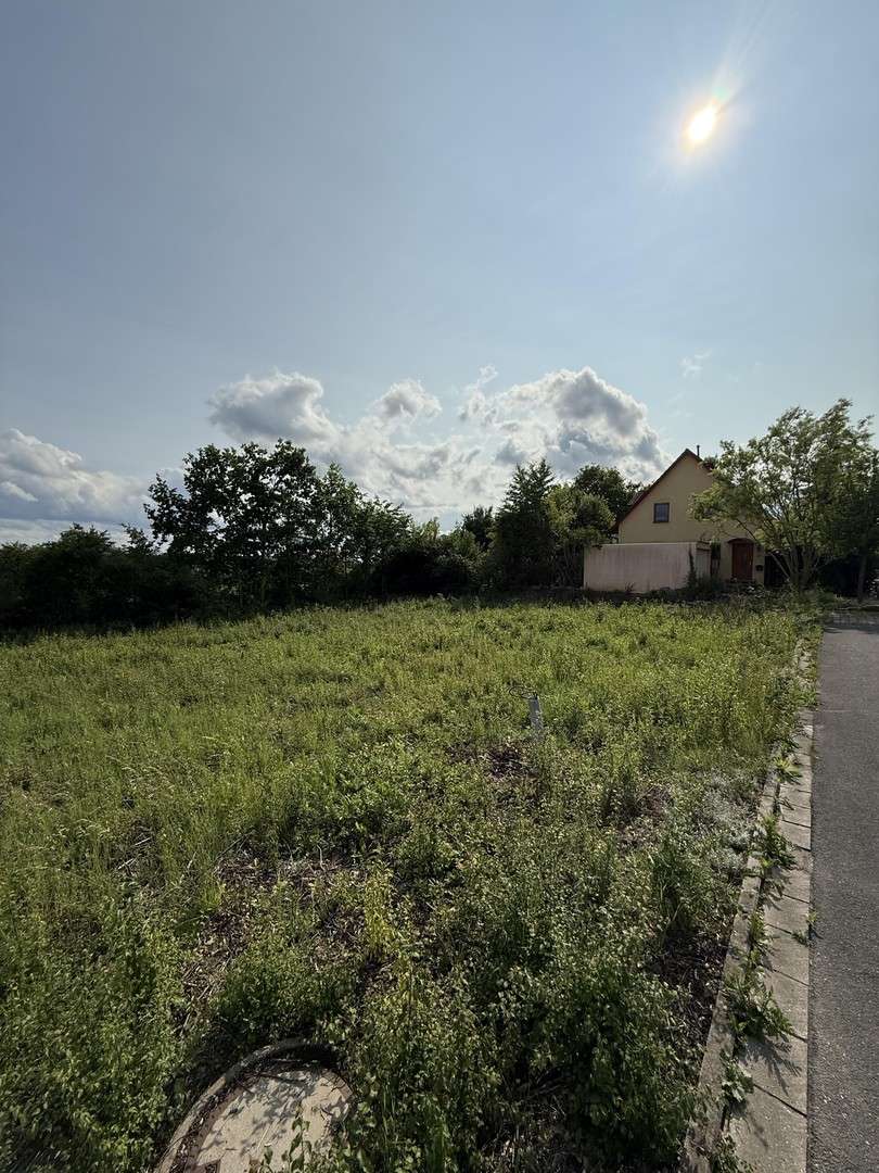 Thumbnail-Grundstück zu verkaufen in Höchstadt an der Aisch 352.000,00 € 800 m²