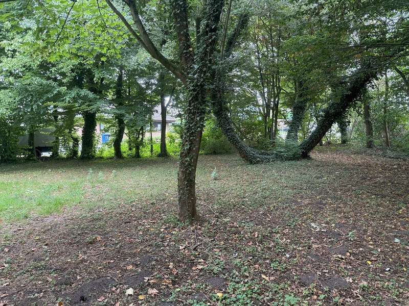 Thumbnail-Grundstück zu verkaufen in Delbrück 249.000,00 € 656 m²