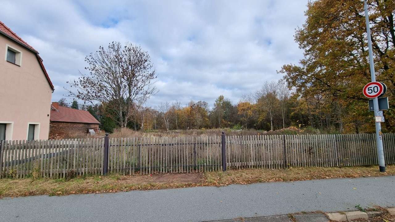 Thumbnail-Grundstück zu verkaufen in Tauchritz 294.500,00 € 6017 m²