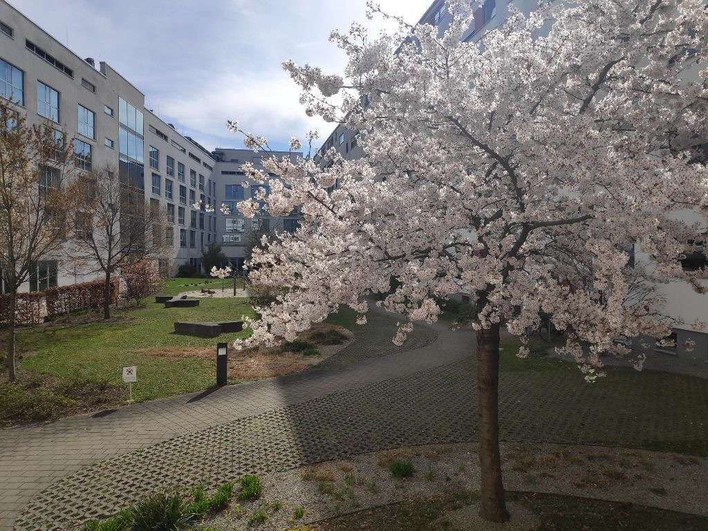 Thumbnail-Wohnung zum Kaufen in München 540.000,00 € 43.2 m²